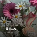 플레르밋