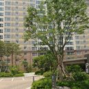 미리본치과의원 이미지