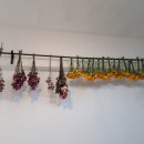 은혜행정사사무소 이미지