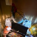 대표호 | [강원도 | 속초] 속초 해변 이색 술집 추천, 분위기+재미 다 잡은 찐 맛집 "대표호" 내돈내산 후기