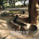 신라부분정비 이미지