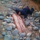 삼겹살먹으러가자 이미지