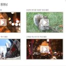 캐논 EOS 5D Mark II 이미지
