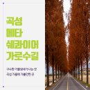 곡성 신기 구간 이미지