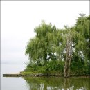 아침풍경 이미지