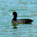 빛가람 호수공원 이미지