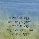 장터삼겹살 이미지