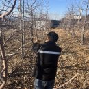 단양군 농업기술센터 이미지