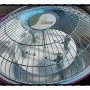 알콩달콩 흑염소 농장 이미지