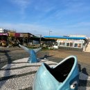 애월이용원 | 제주 애월 놀거리 : 전기 자전거 스쿠터 쓩쓩렌탈샵 애월점