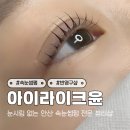 라이크윤 - 청주시 서원구 | 안산 중앙동 속눈썹펌 잘하는 곳 아이라이크윤 내돈내산 방문 후기