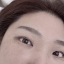 일산 속눈썹펌 채니래쉬 후기 라페스타 속눈썹펌 정발산 속눈썹펌