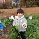 소은농장 이미지