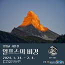 알프스 쿠키뉴스