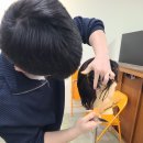 이곳은염색방