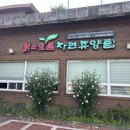 붉은오름자연휴양림2 네이버블로그