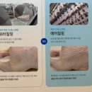 하림 본사견학 현장학습 전북 광주근교 아이와 갈만한 곳