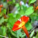 풀씨농장 주인 서울 올라오다 이미지