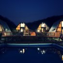 세모난나무2 이미지