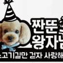 안멍냥 네이버블로그