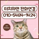 배통치킨 이미지
