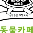 해피주 동물카페 원주점 이미지