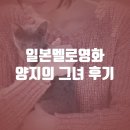 양지 (Sunny Place) | 양지의 그녀 일본영화추천