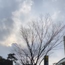 센텀가정의원 이미지