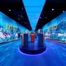 오션스타 이미지