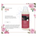 버블퍼피 이미지