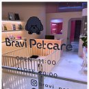 브라비 펫케어 이미지