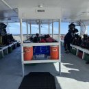 태평양전자 | [멕시코 소코로 스쿠버다이빙] 발렌티나 리브어보드 후기!!