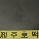 삼화사랑약국 이미지