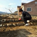 아빠가 지은 집 이미지