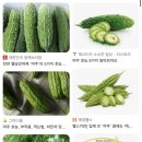 여주-0004 이미지