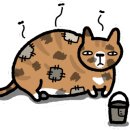 오묘 고양이카페호텔미용 이미지