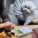 벌떡 이미지