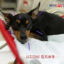 두암한방병원 이미지