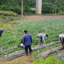 생물자원연구소 이미지