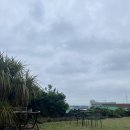 월정브리즈 | [제주] 월정리 해변이 아늑하게 보이는 독채민박, 월정브리즈