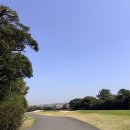 캐슬렉스제주(대중형 9홀) | 제주 캐슬렉스 퍼블릭 9홀 골프장 후기 | 노캐디 셀프카트 가성비 라운딩 추천