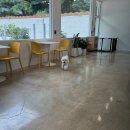 꾸미멍 | 대구 애견카페 : 블루멍 (애견동반카페, 시지 애견카페, 수성구 애견카페)