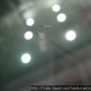 오토훼밀리카 이미지