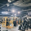 스타헬스 이미지