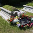 완월남로 이미지