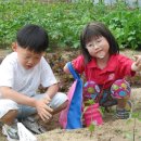 모황농장 이미지