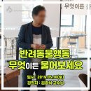 위드펫종합동물병원 이미지