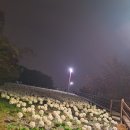 수지레스피아배드민턴장 이미지