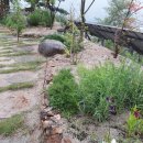 산척면사무소 이미지