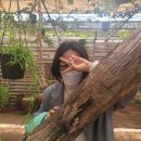 돈뜨레인제주 | 제주한달살기 : 1주차